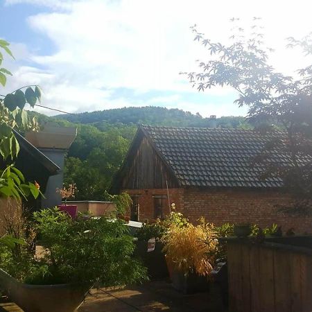 "Cote Nature", Appartement Cosy Au Coeur De Munster Munster  Eksteriør bilde