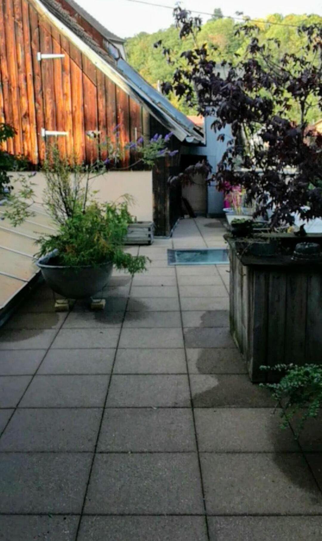 "Cote Nature", Appartement Cosy Au Coeur De Munster Munster  Eksteriør bilde