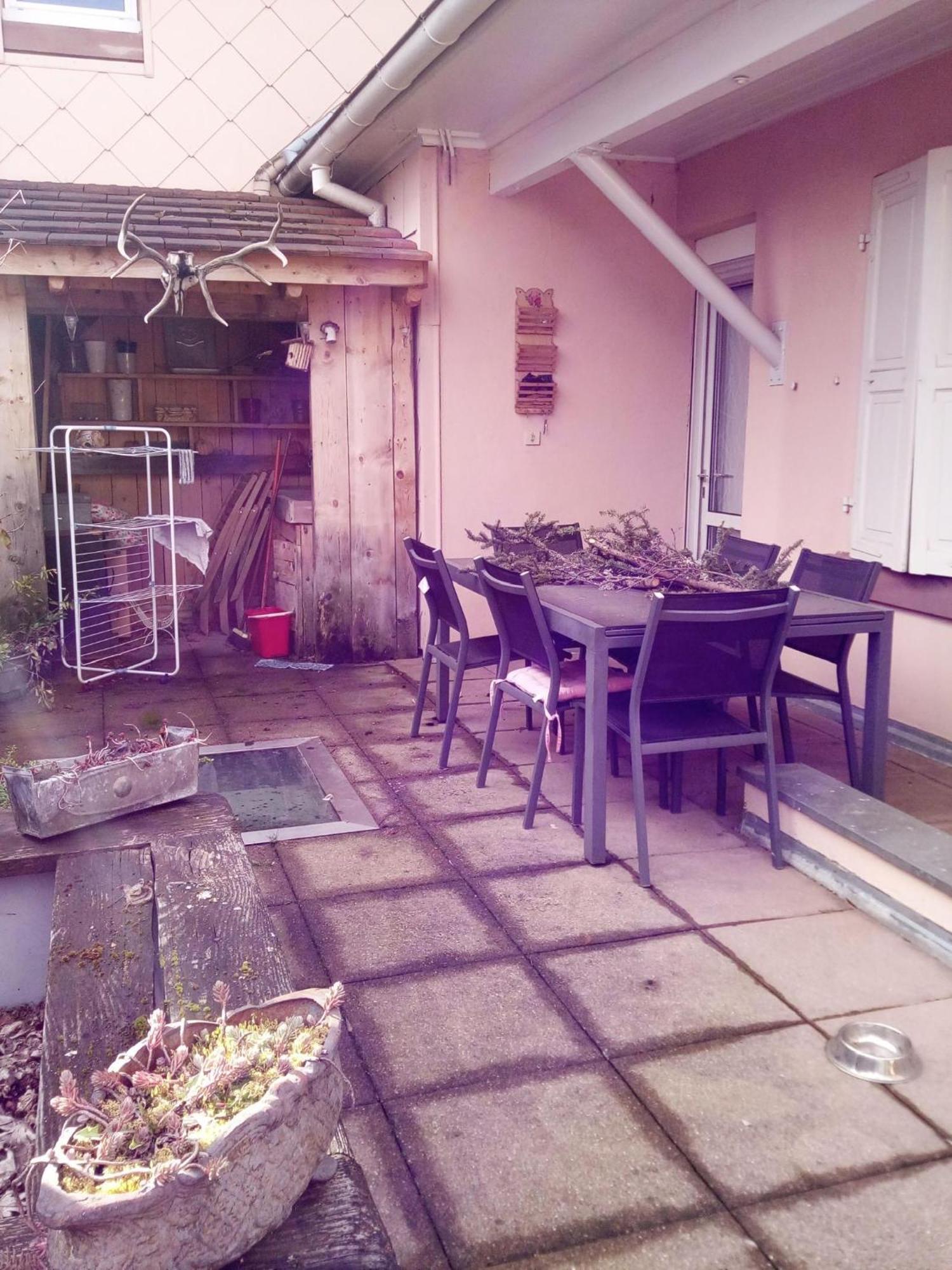"Cote Nature", Appartement Cosy Au Coeur De Munster Munster  Eksteriør bilde