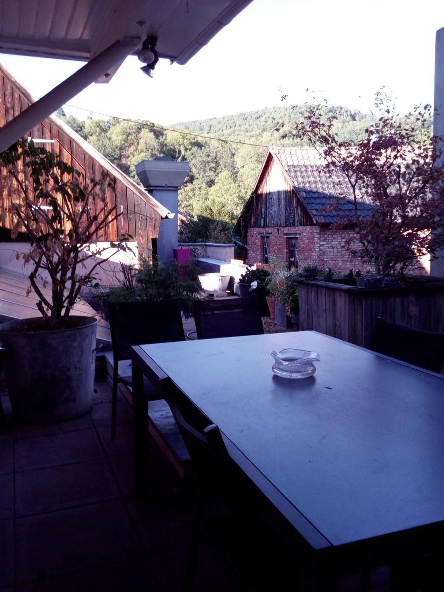 "Cote Nature", Appartement Cosy Au Coeur De Munster Munster  Eksteriør bilde